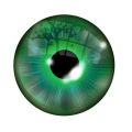 Avatar użytkownika