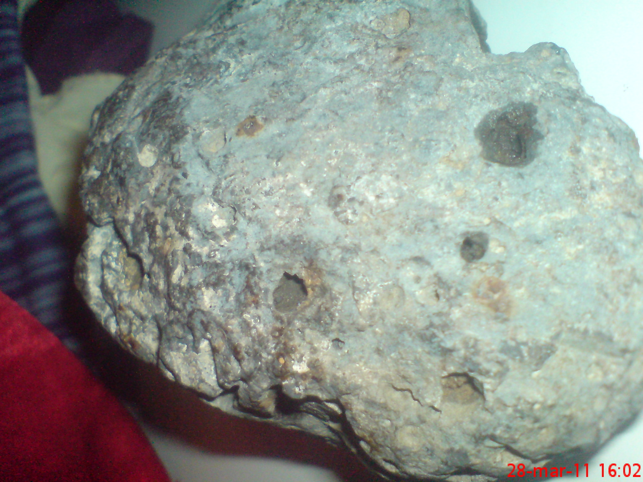 DSC00070.JPG