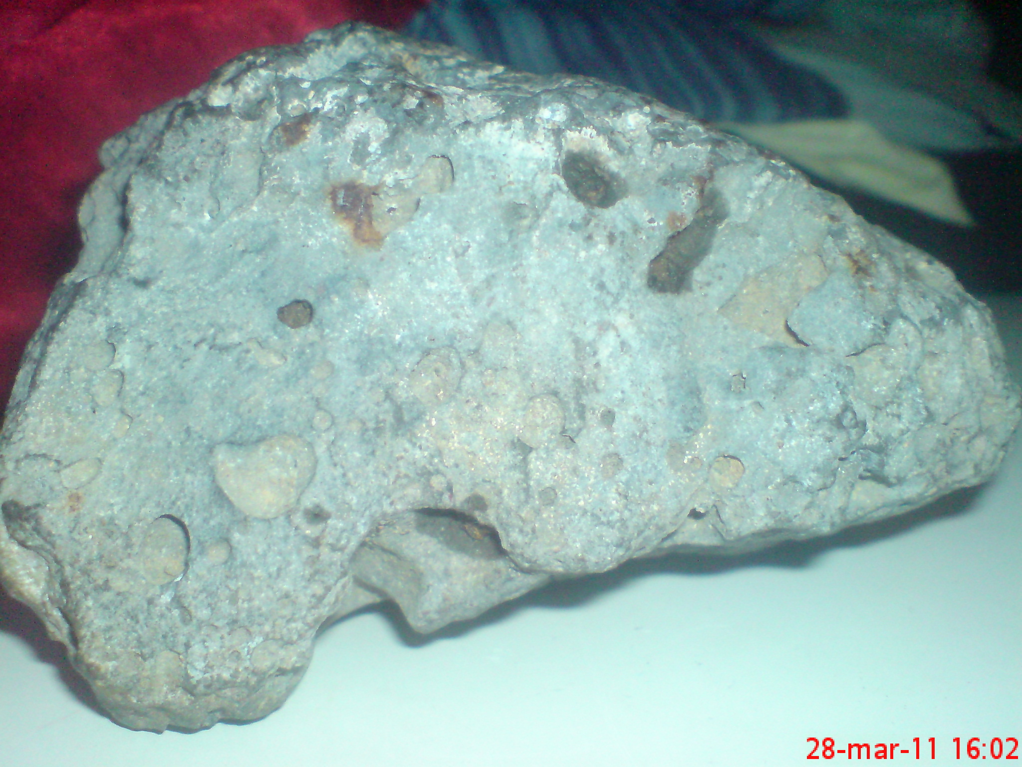 DSC00071.JPG