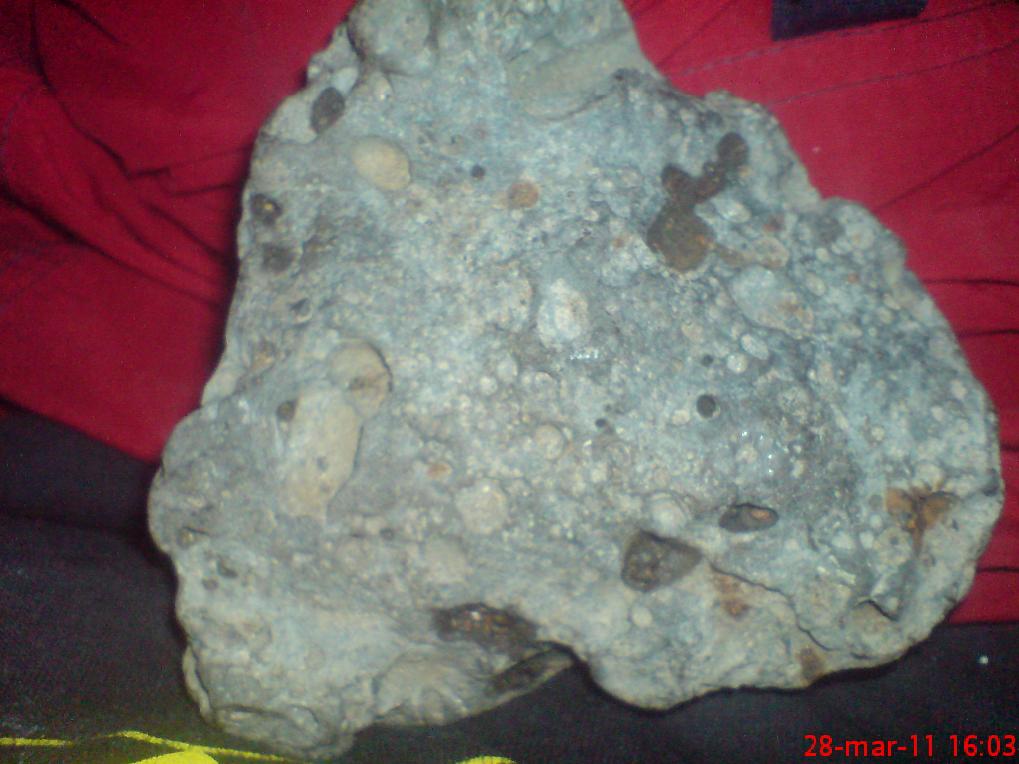 DSC00072.JPG
