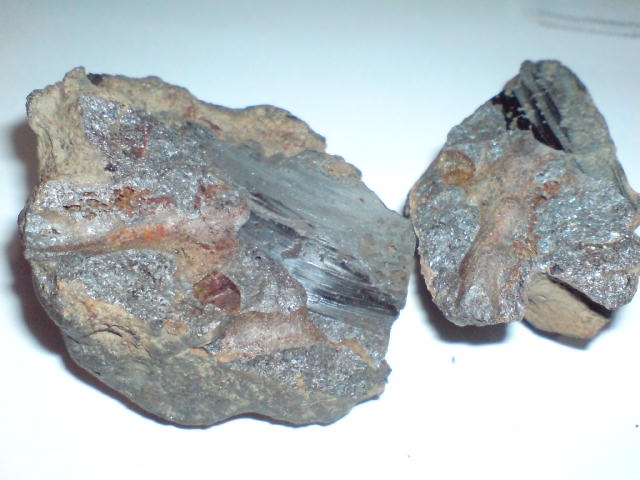 10042011a.JPG