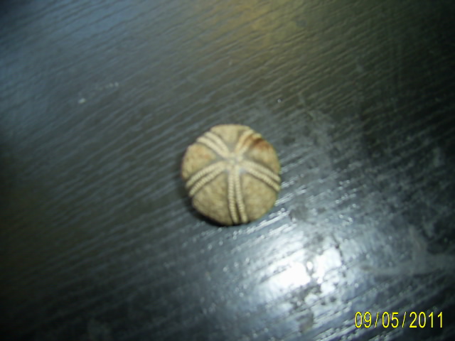 SA400085.JPG