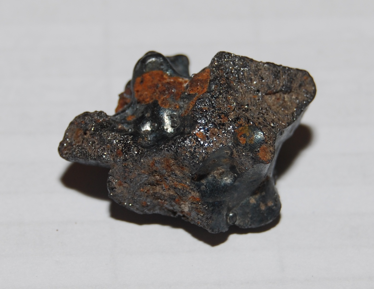 DSC_0170.JPG