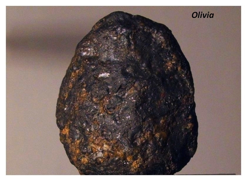 Olvia5.jpg