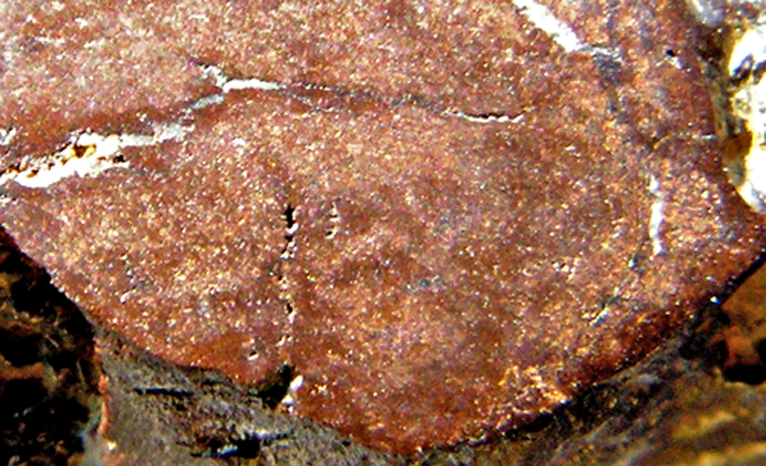 PICT0010B.jpg