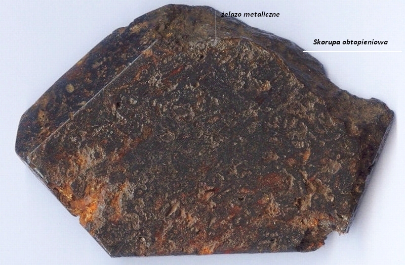 skanuj0018.jpg