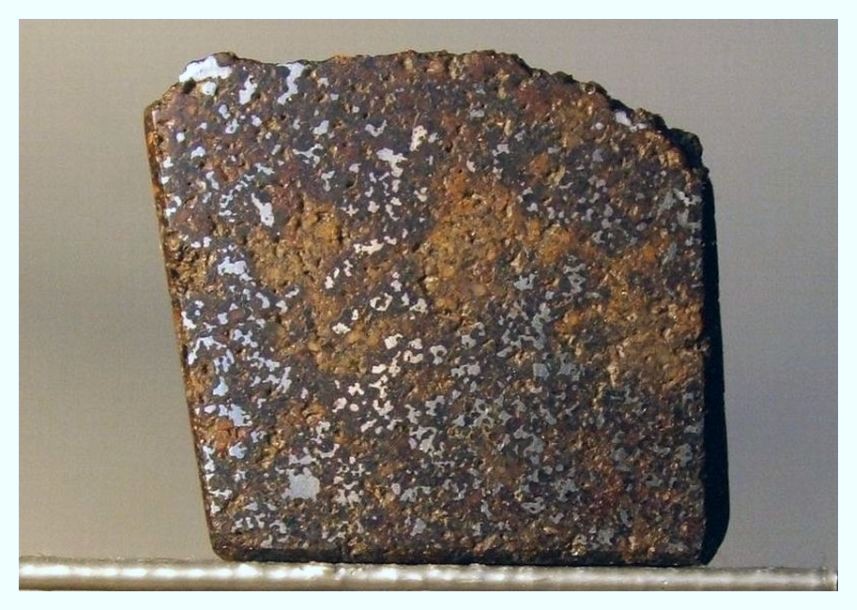 E1.jpg